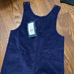 CPC childrens wear Blue Velvet Dress longall